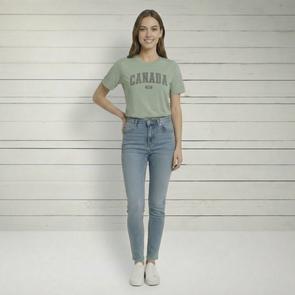 Canada 1867 Vintage Collegiate T-Shirt – Grey Graphic – Colourful